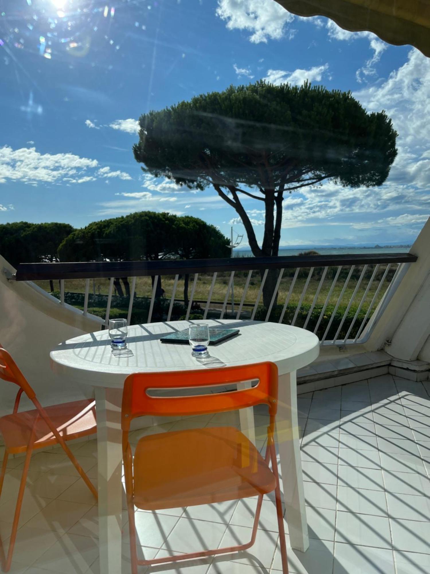 Anny Climatise Vue Avec Piscine * Le Grau-du-Roi